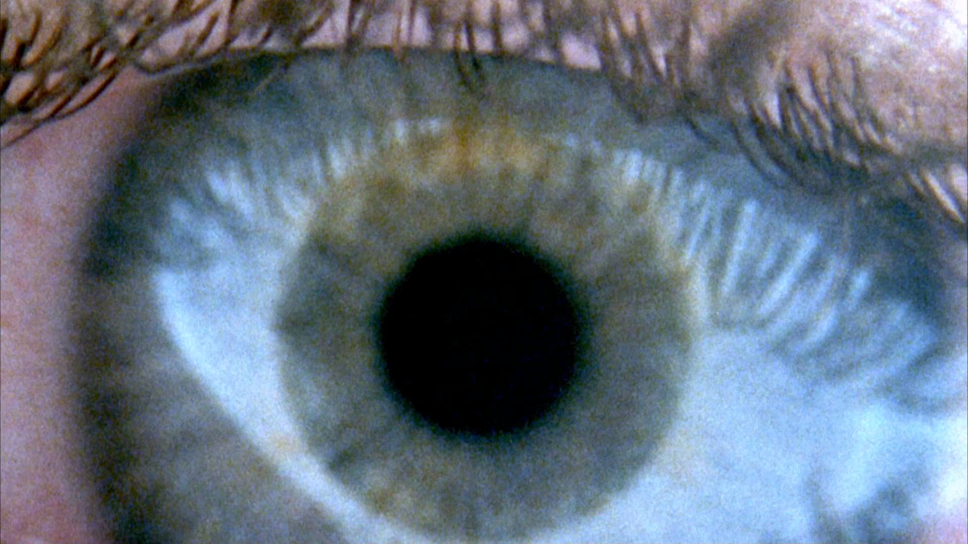 314024270_bYIiMUPu_92b1968658db242e119c3e553e3073fc4a3dfa18.png